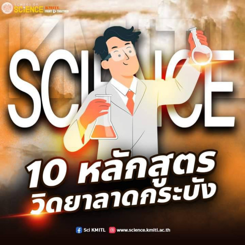 303434.jpg วิดยา