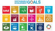 SDGs