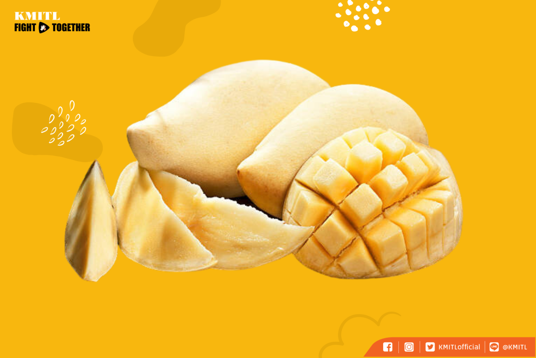 การตรวจสอบและคัดแยกคุณภาพมะม่วง