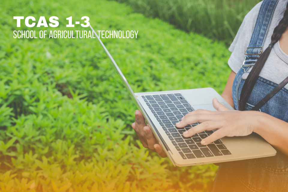 News Template - Web (15).png