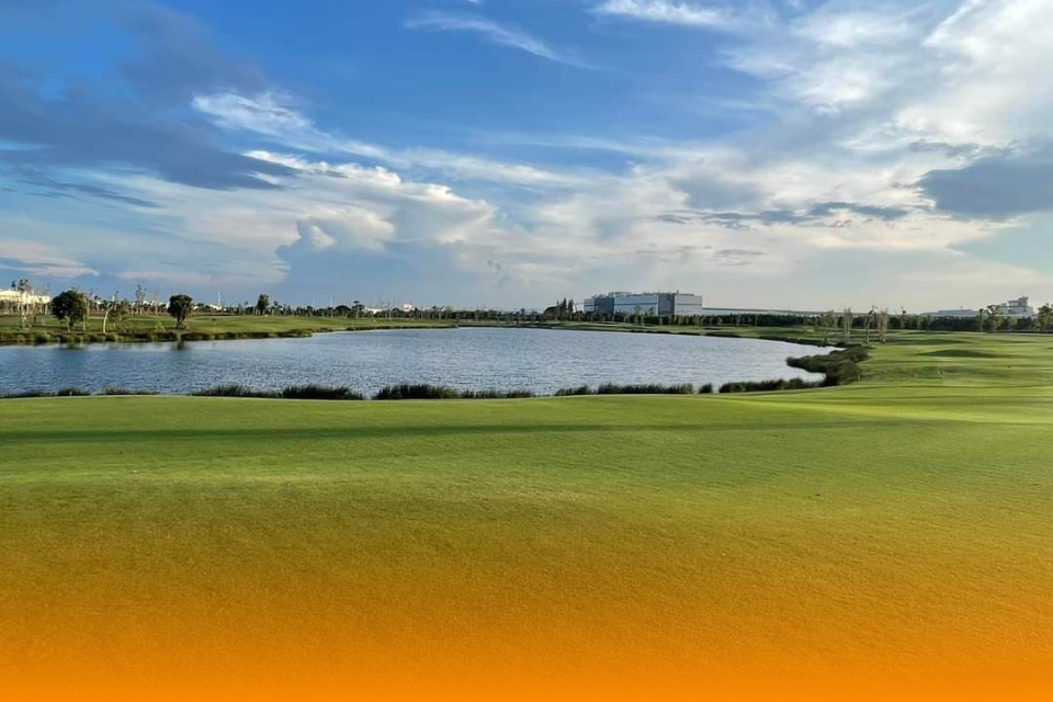 News Template - Web (3).png